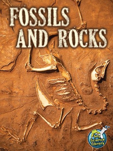 Fossils and Rocks by Kimberly M. Hutmacher
