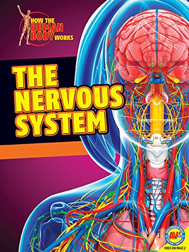The Nervous System by Simon Rose
