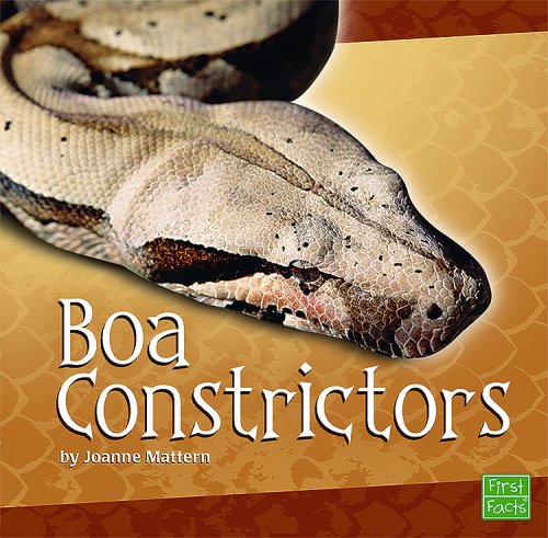 Boa Constrictors (First Facts: Snakes) by Joanne Mattern