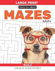 Mazes Adults: (Book 2) (Maze Puzzle Books) by Grace Hartford