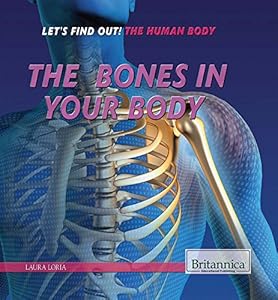 The Bones in Your Body