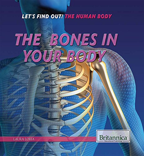 The Bones in Your Body by Laura Loria