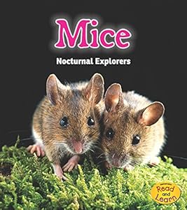 Mice: Nocturnal Explorers
