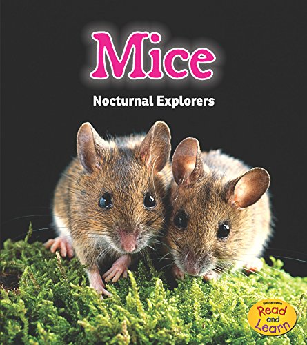 Mice: Nocturnal Explorers by Rebecca Rissman