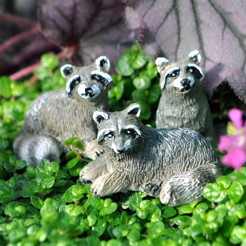 

Miniature Fairy Garden Tiny Raccoons, Set of 3