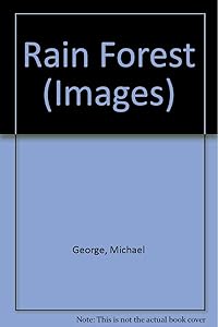 Rain Forest (Images)