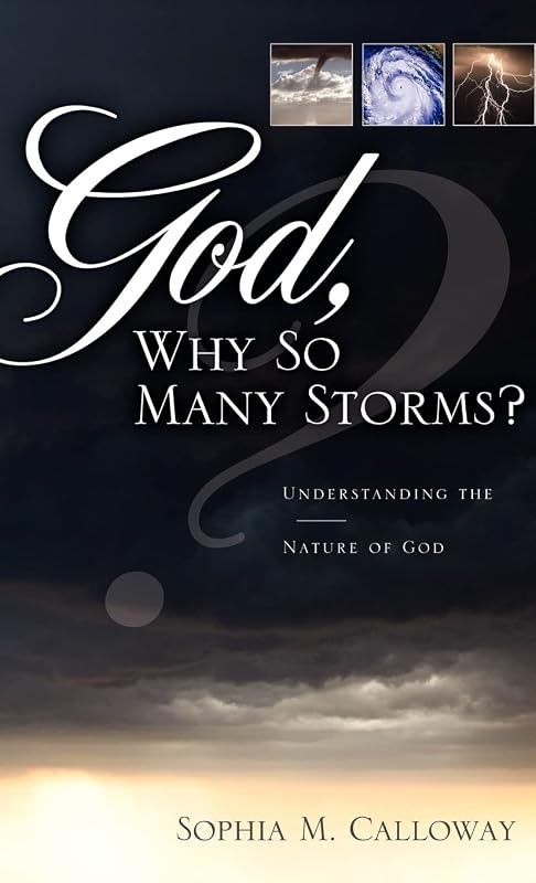 God, Why So Many Storms? by Sophia M Calloway