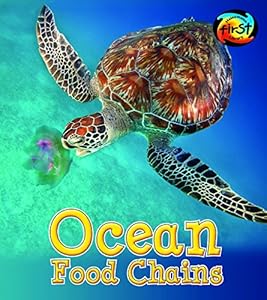 Ocean Food Chains