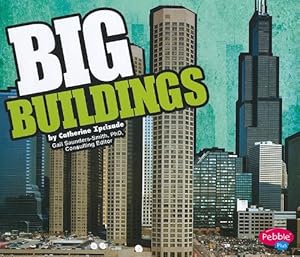 Big Buildings (Pebble Plus: Big)