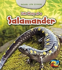 Life Story of a Salamander