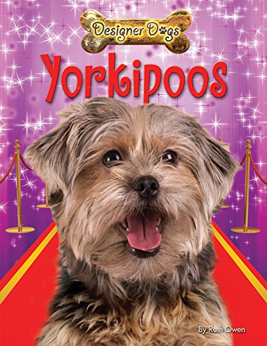 Yorkipoos by Ruth Owen