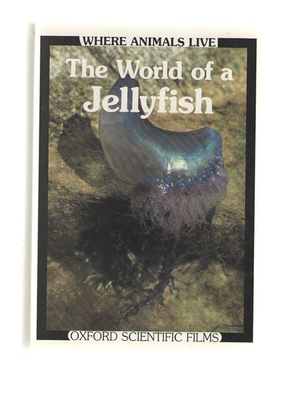 World of a Jellyfish (Where Animals Live) by Jennifer Coldrey