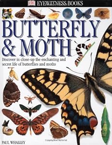 Eyewitness: Butterfly & Moth (Eyewitness Books)