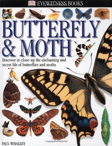 Eyewitness: Butterfly & Moth (Eyewitness Books) by DK Publishing
