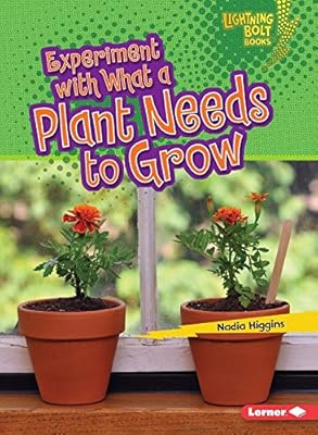 Experiment With What a Plant Needs to Grow