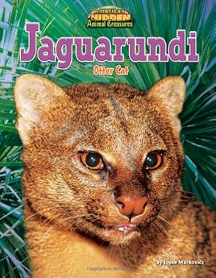 Jaguarundi: Otter Cat
