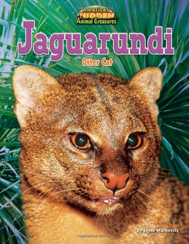 Jaguarundi: Otter Cat by Joyce Markovics