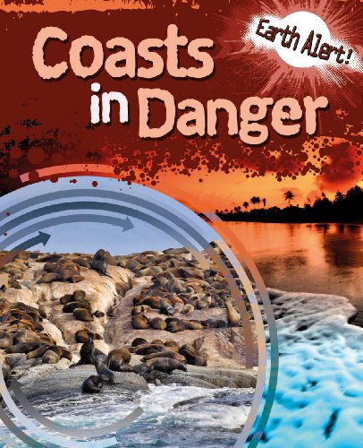 Coasts in Danger by Polly Goodman