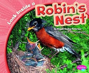 Look Inside a Robin's Nest