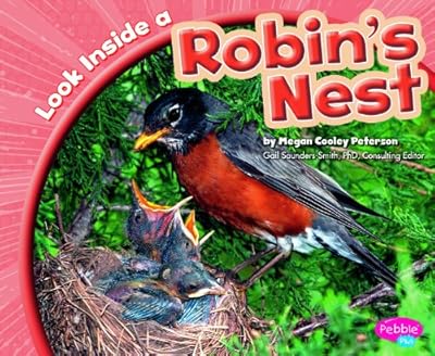 Look Inside a Robin's Nest
