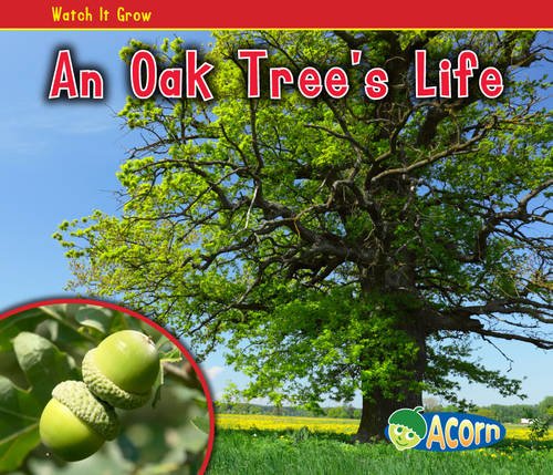 An Oak Tree's Life (Acorn: Watch It Grow) by Nancy Dickmann