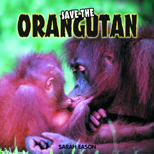 Save the Orangutan by Sarah Eason