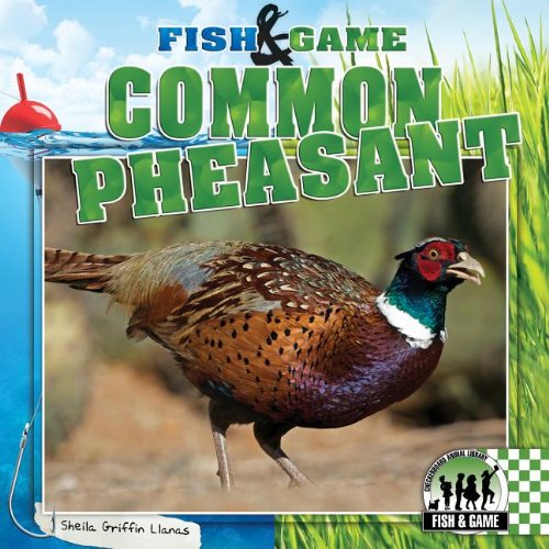 Common Pheasant by Sheila Griffin Llanas
