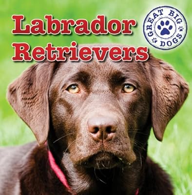 Labrador Retrievers