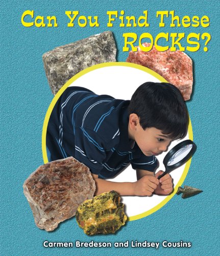Can You Find These Rocks? by Carmen Bredeson  ,