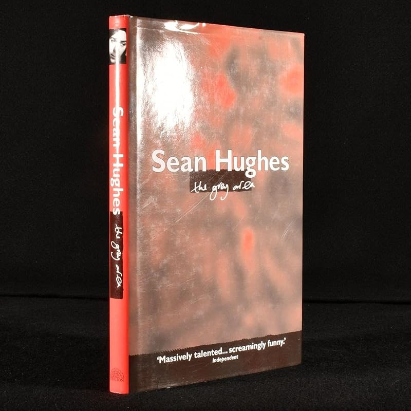 The Grey Area by Sean Hughes