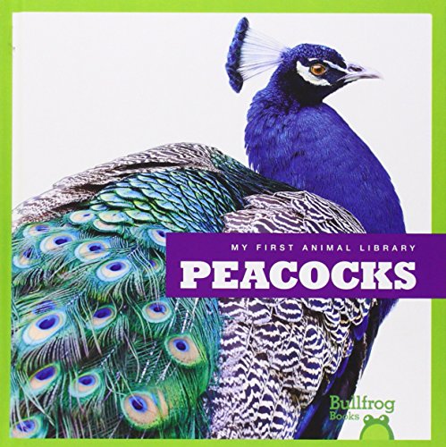 Peacocks by Cari Meister