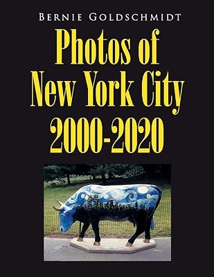 Bernie Goldschmidt Photos of New York City 2000-2020