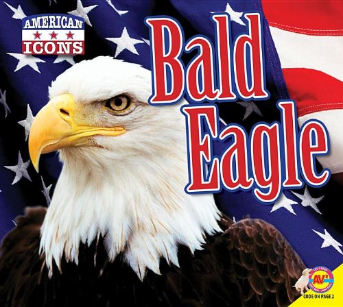 Bald Eagle by Kaite Goldsworthy