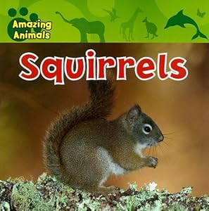 squirrels