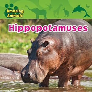 Hippopotamuses