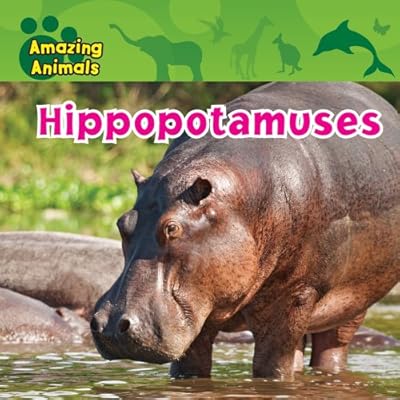 Hippopotamuses