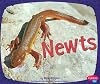 Newts (Amphibians) by Molly Kolpin (2010-02-01)