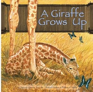 A Giraffe Grows Up (Wild Animals) (Wild Animals (Picture Window Hardcover))