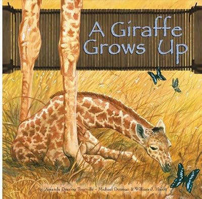 A Giraffe Grows Up (Wild Animals) (Wild Animals (Picture Window Hardcover))