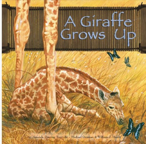 A Giraffe Grows Up (Wild Animals) (Wild Animals (Picture Window Hardcover)) by Amanda Doering Tourville
