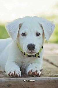 CUTE DOG PUPPY: Discreet Password Book With Alphabetical Order, 6x9" Internet Address & Password Keeper & Organizer Logbook To Remember Your Internet ... Password, Mobile Phone And Notes - 132 Pages by My Lovely Pet Publishing