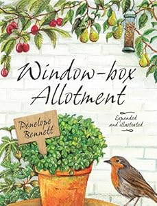 Window-box Allotment by Penelope Bennett