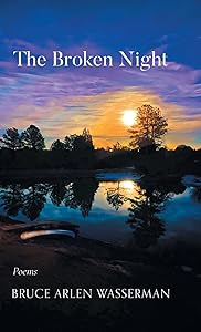 The Broken Night by Bruce Arlen Wasserman