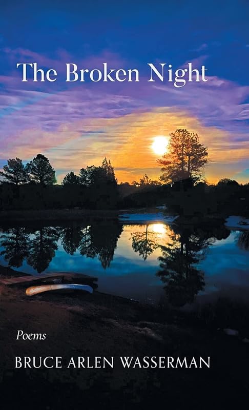 The Broken Night by Bruce Arlen Wasserman