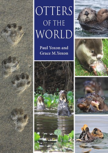 Otters of the World by Grace M. Yoxon