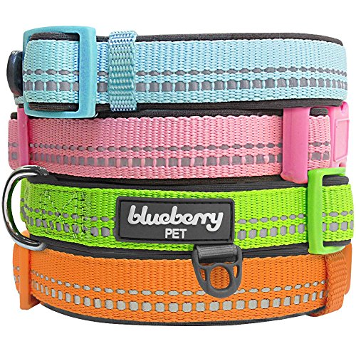 Blueberry Pet Collars For Dogs 3M Reflective Neoprene Padded Dog Collar in Pastel Colors, Matching Leash & Harness Available Separately