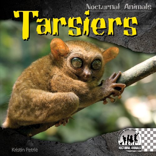 Tarsiers by Kristin Petrie