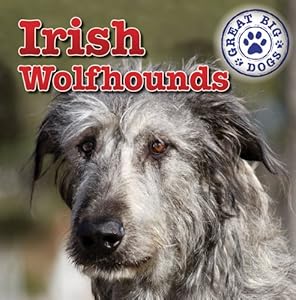 Irish Wolfhounds (Dog Mania Great Big Dogs)