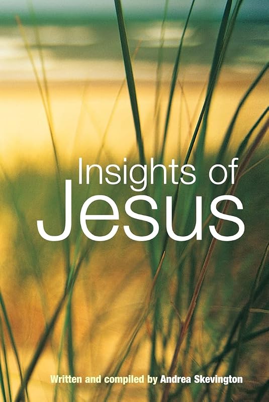 Insights of Jesus by Andrea Skevington