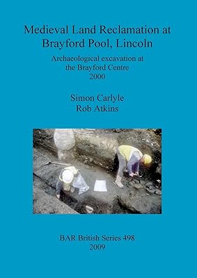 Medieval Land Reclamation at Brayford Pool, Lincoln (BAR British)